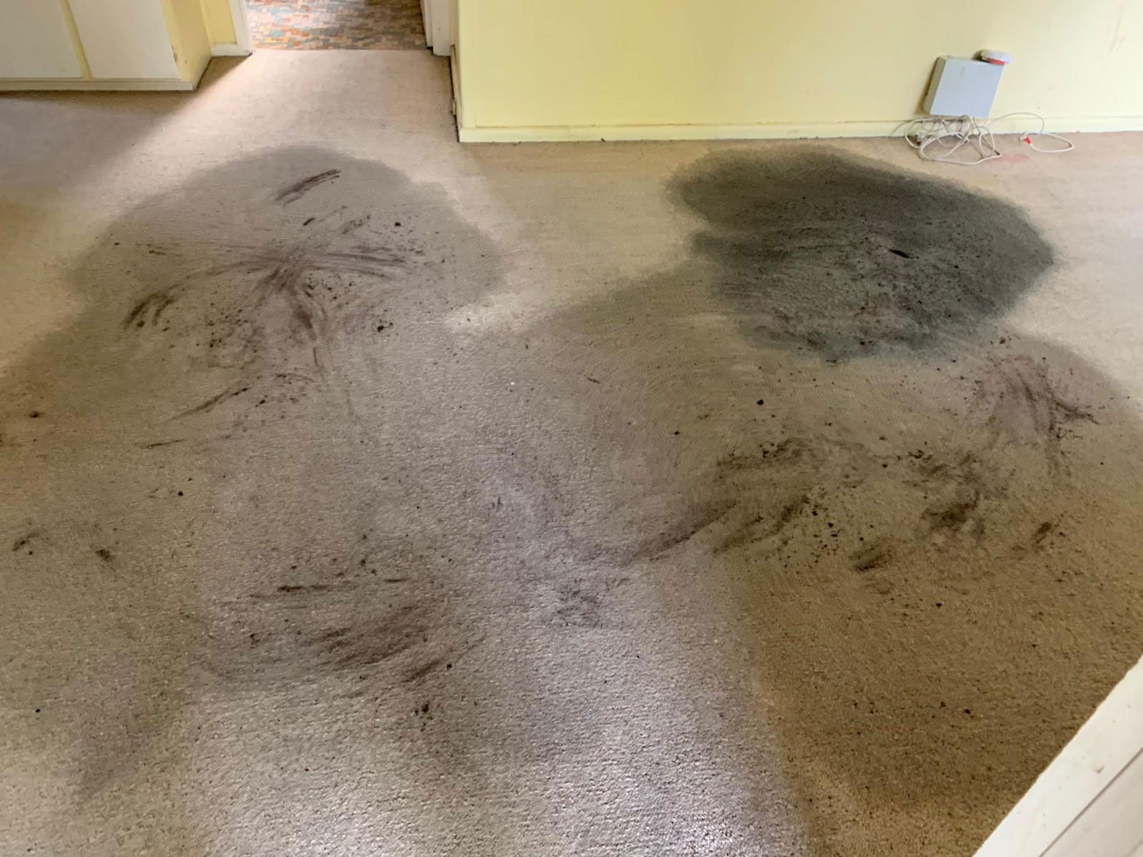 Carpet Cleaning Sydney
