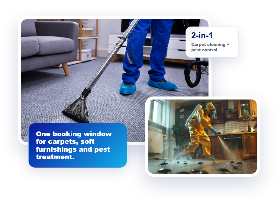 carpet cleaning and pest control together
