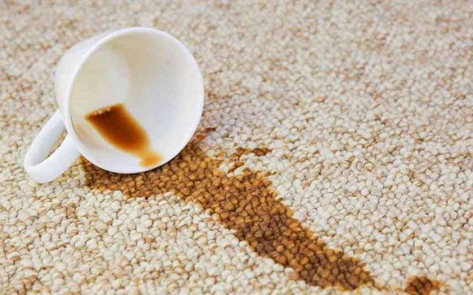 Stain & Odour Treatment
