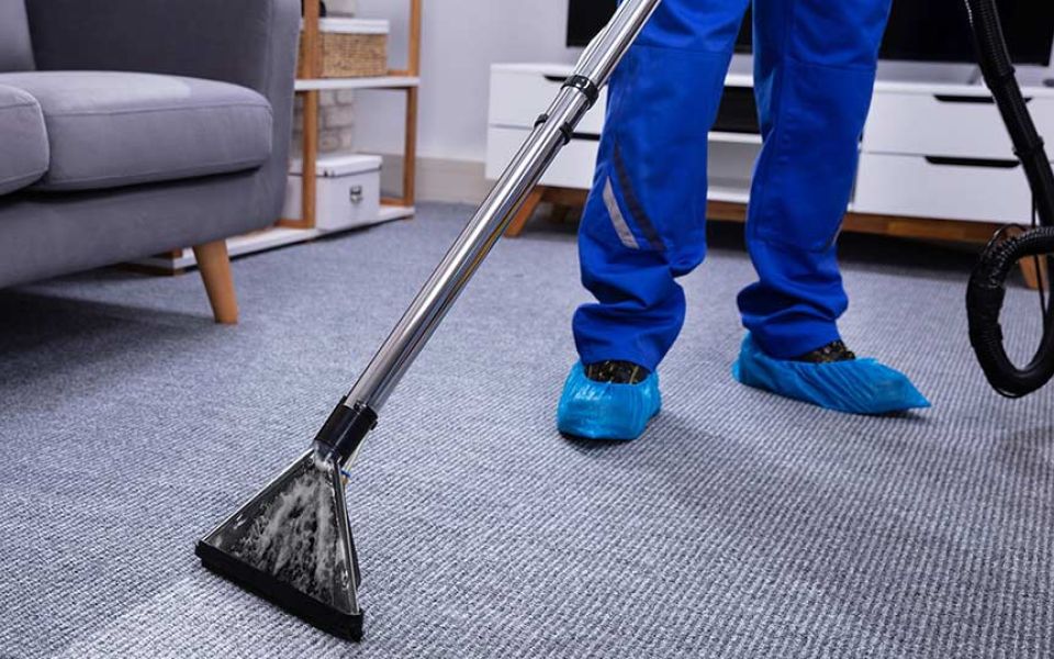 Steam Carpet Cleaning
