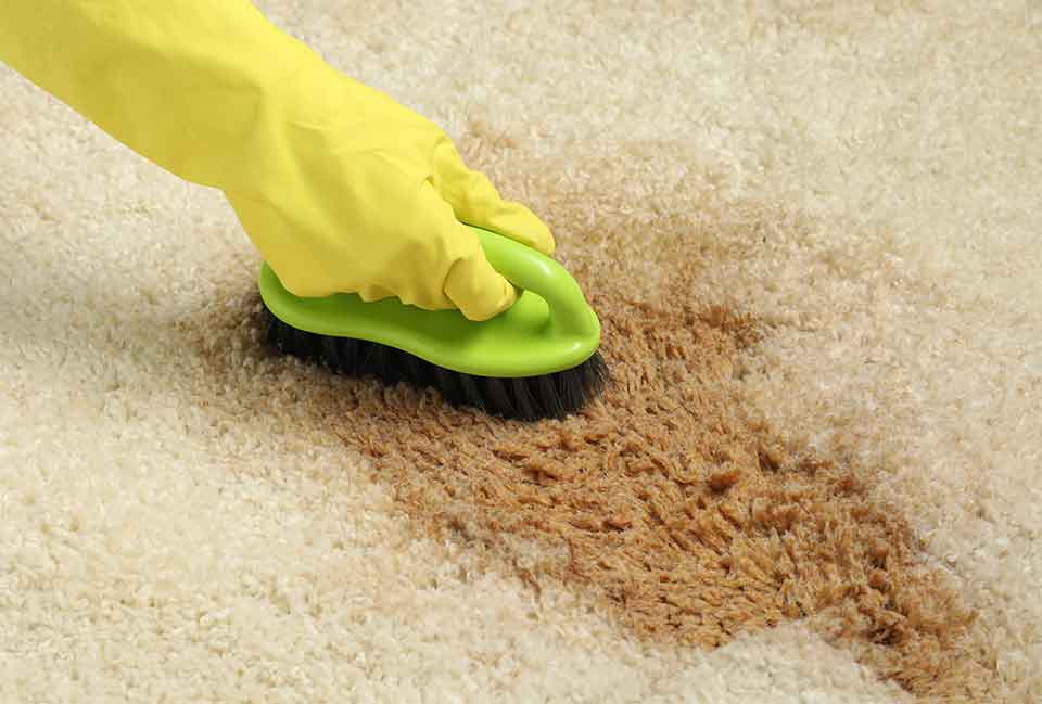 Removing Stubborn Stains: A Guide to Spotless Surfaces